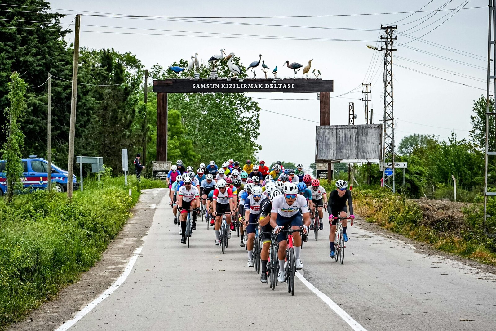 delta fitness authority